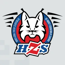 Ice hockey federation of slovenia